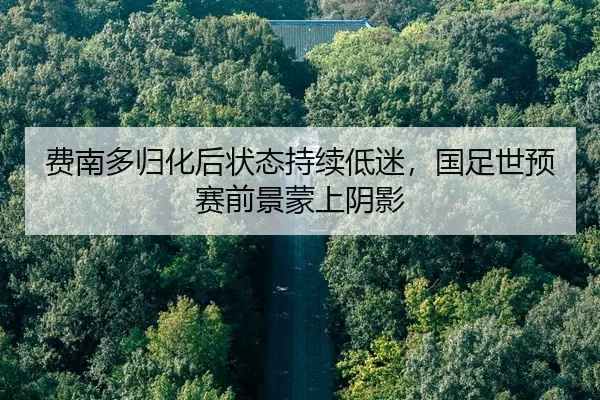 费南多归化后状态持续低迷，国足世预赛前景蒙上阴影