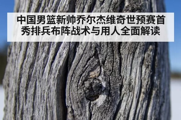 中国男篮新帅乔尔杰维奇世预赛首秀排兵布阵战术与用人全面解读